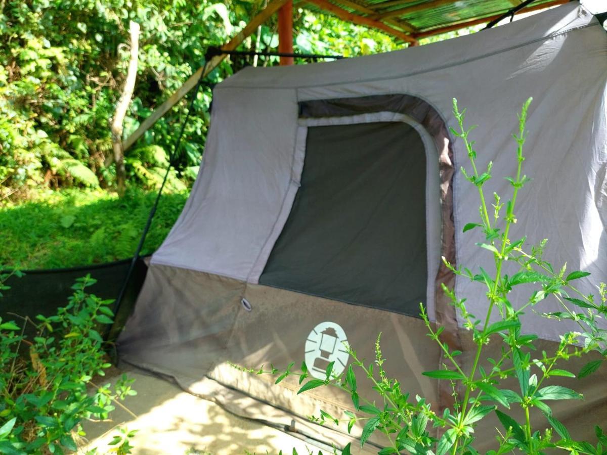 Rustico Arenal B&B La Fortuna Exteriör bild