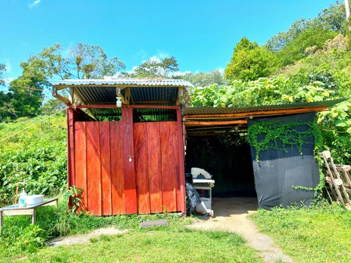 Rustico Arenal B&B La Fortuna Exteriör bild